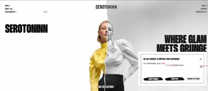 web design